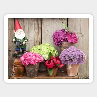 Still Life with Flowers & a Gnome Sticker